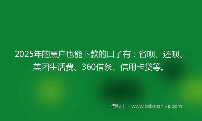 2025年的黑户也能下款的口子有：省呗、还呗、美团生活费、360借条、信用卡贷等。