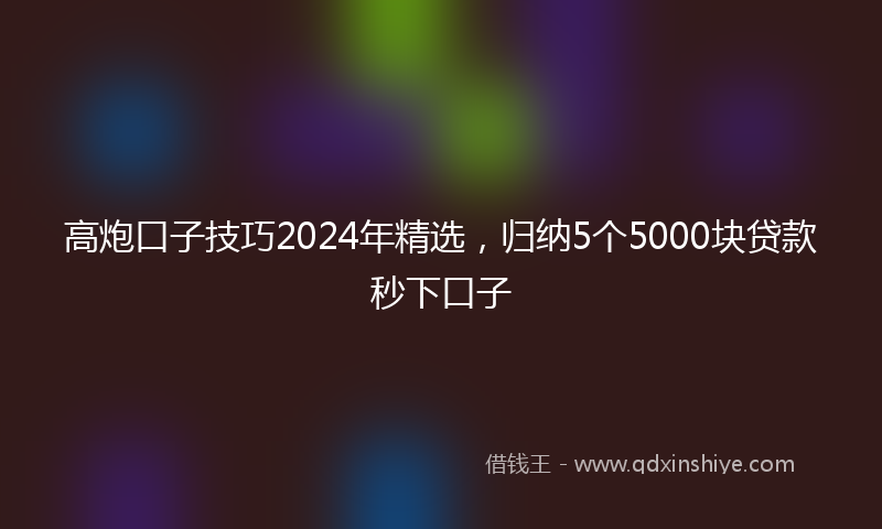 高炮口子技巧2024年精选，归纳5个5000块贷款秒下口子