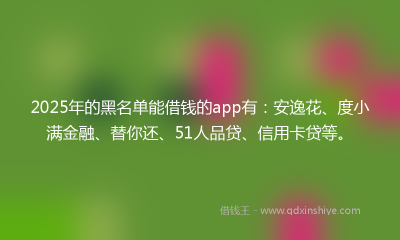 2025年的黑名单能借钱的app有：安逸花、度小满金融、替你还、51人品贷、信用卡贷等。