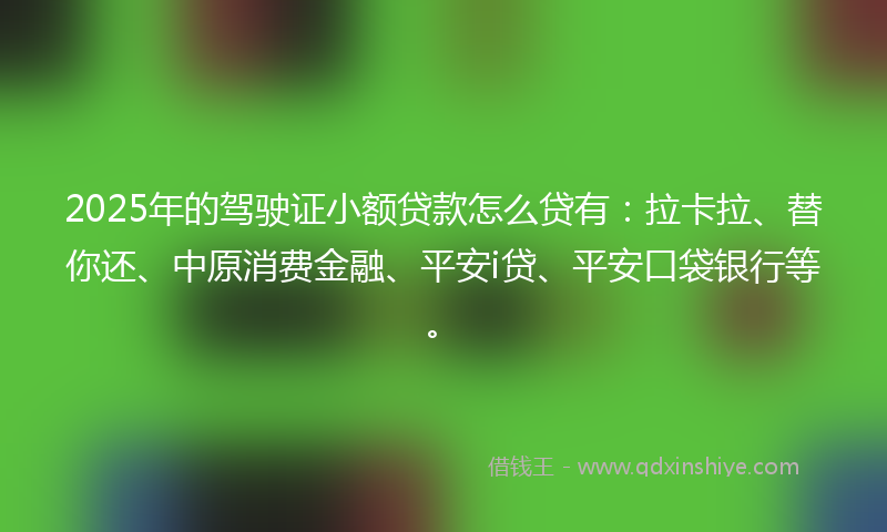 2025年的驾驶证小额贷款怎么贷有：拉卡拉、替你还、中原消费金融、平安i贷、平安口袋银行等。