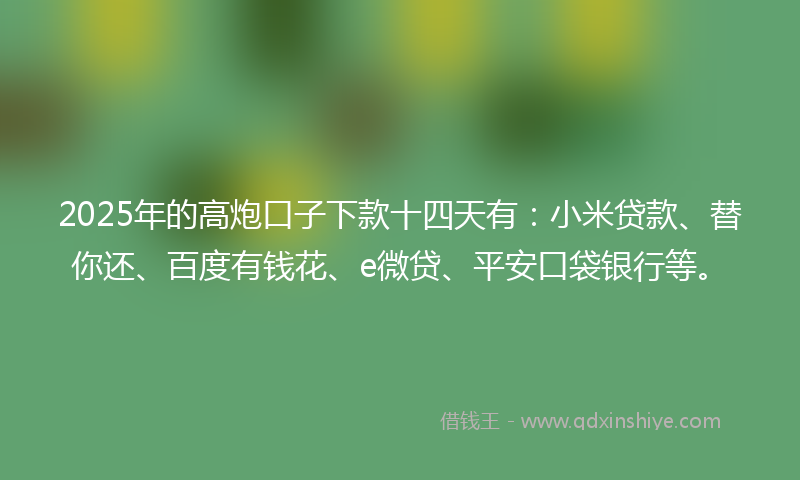 2025年的高炮口子下款十四天有：小米贷款、替你还、百度有钱花、e微贷、平安口袋银行等。