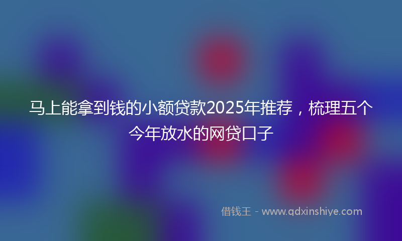 马上能拿到钱的小额贷款2025年推荐，梳理五个今年放水的网贷口子