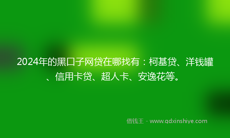 2024年的黑口子网贷在哪找有：柯基贷、洋钱罐、信用卡贷、超人卡、安逸花等。