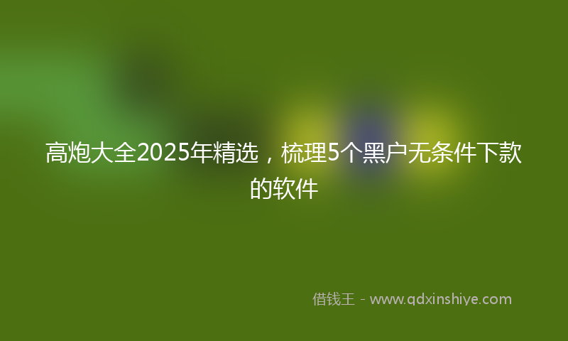 高炮大全2025年精选，梳理5个黑户无条件下款的软件