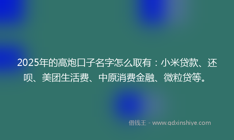 2025年的高炮口子名字怎么取有：小米贷款、还呗、美团生活费、中原消费金融、微粒贷等。