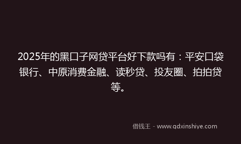 2025年的黑口子网贷平台好下款吗有：平安口袋银行、中原消费金融、读秒贷、投友圈、拍拍贷等。