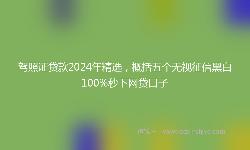 驾照证贷款2024年精选，概括五个无视征信黑白100%秒下网贷口子