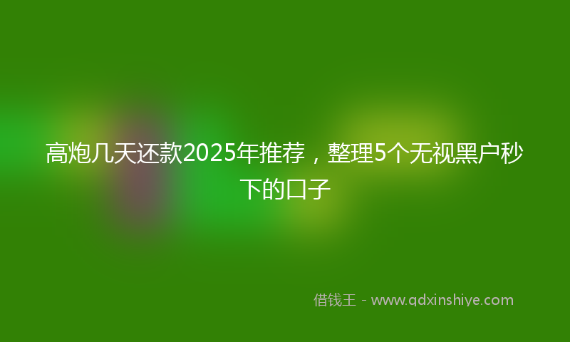 高炮几天还款2025年推荐，整理5个无视黑户秒下的口子