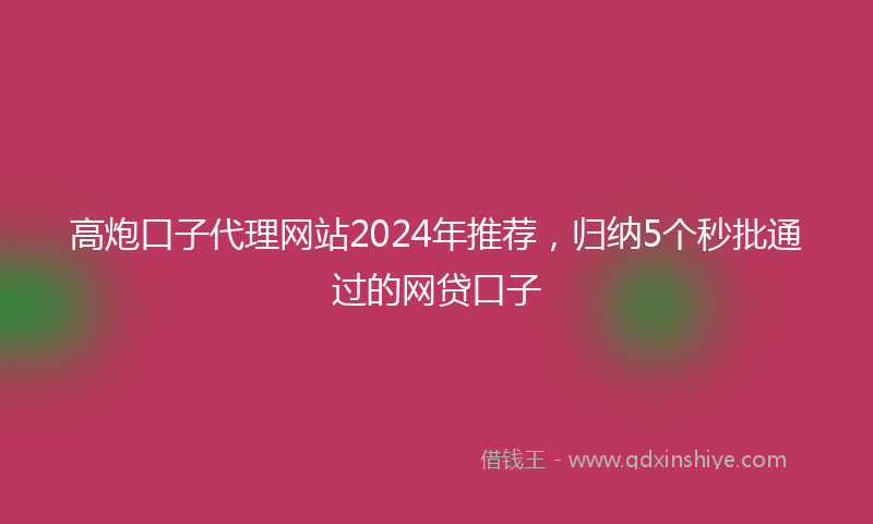 高炮口子代理网站2024年推荐，归纳5个秒批通过的网贷口子