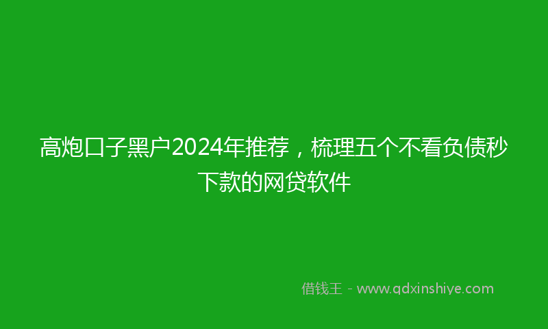高炮口子黑户2024年推荐，梳理五个不看负债秒下款的网贷软件
