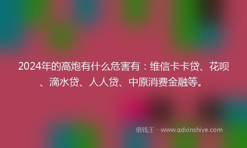 2024年的高炮有什么危害有：维信卡卡贷、花呗、滴水贷、人人贷、中原消费金融等。