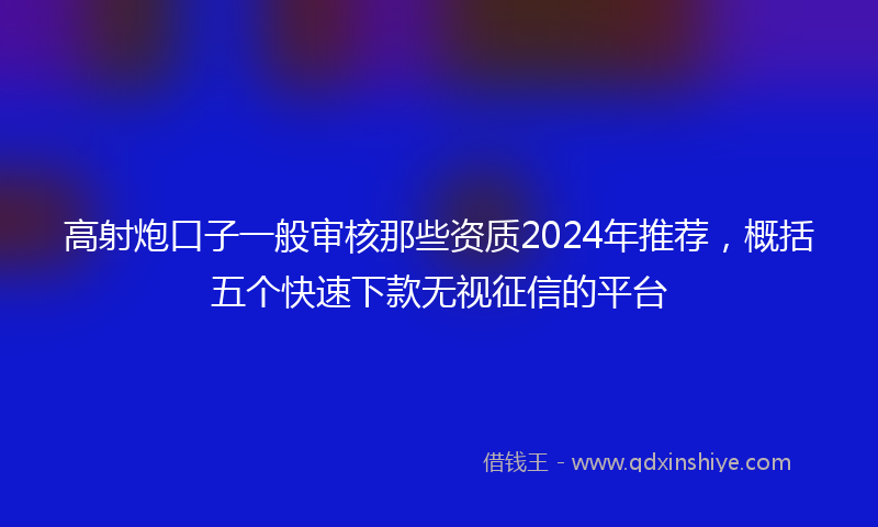 高射炮口子一般审核那些资质2024年推荐，概括五个快速下款无视征信的平台