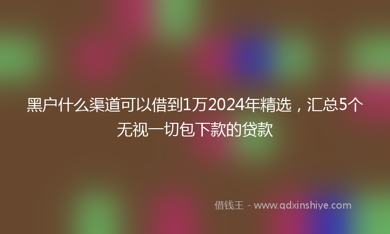 黑户什么渠道可以借到1万2024年精选，汇总5个无视一切包下款的贷款