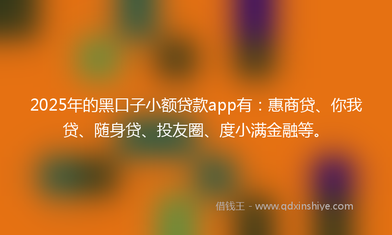 2025年的黑口子小额贷款app有：惠商贷、你我贷、随身贷、投友圈、度小满金融等。