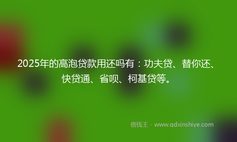 2025年的高泡贷款用还吗有：功夫贷、替你还、快贷通、省呗、柯基贷等。
