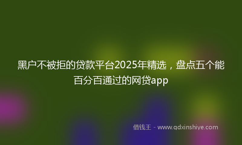 黑户不被拒的贷款平台2025年精选，盘点五个能百分百通过的网贷app