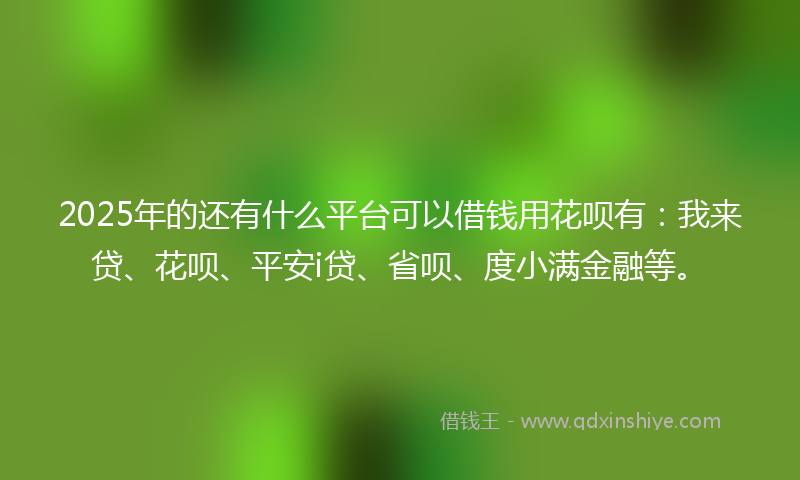 2025年的还有什么平台可以借钱用花呗有：我来贷、花呗、平安i贷、省呗、度小满金融等。