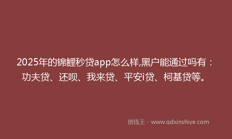 2025年的锦鲤秒贷app怎么样,黑户能通过吗有：功夫贷、还呗、我来贷、平安i贷、柯基贷等。