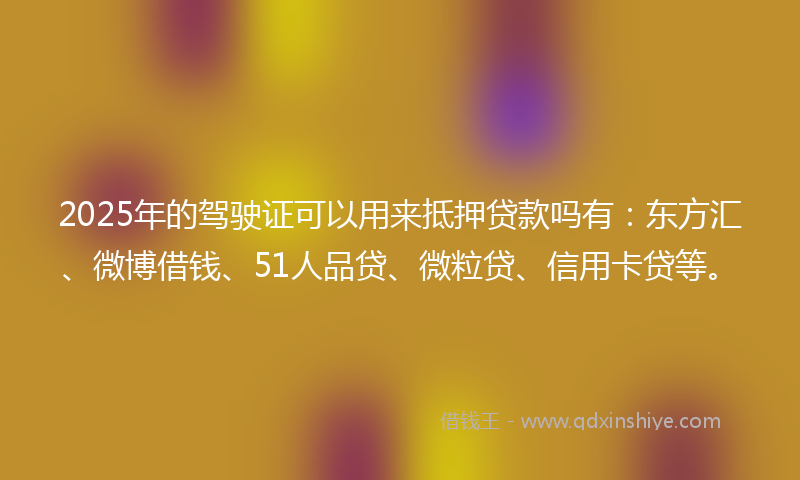 2025年的驾驶证可以用来抵押贷款吗有：东方汇、微博借钱、51人品贷、微粒贷、信用卡贷等。