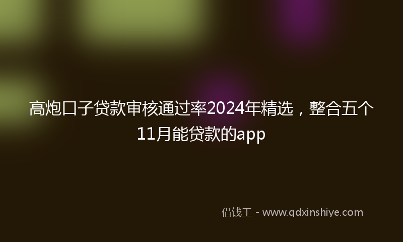 高炮口子贷款审核通过率2024年精选，整合五个11月能贷款的app