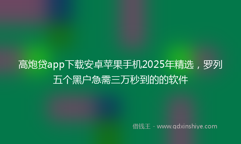 高炮贷app下载安卓苹果手机2025年精选，罗列五个黑户急需三万秒到的的软件