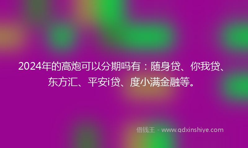2024年的高炮可以分期吗有：随身贷、你我贷、东方汇、平安i贷、度小满金融等。