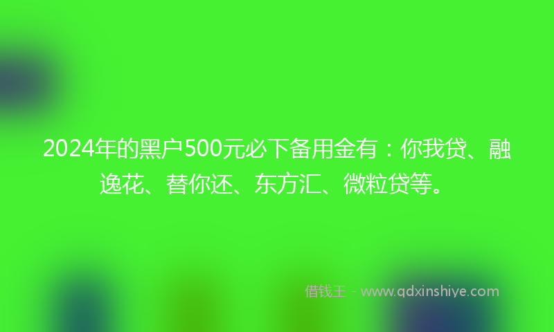 2024年的黑户500元必下备用金有：你我贷、融逸花、替你还、东方汇、微粒贷等。