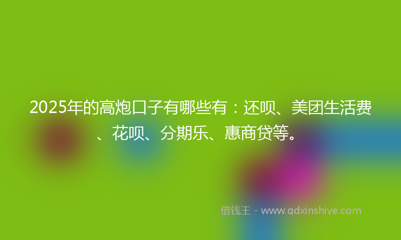 2025年的高炮口子有哪些有：还呗、美团生活费、花呗、分期乐、惠商贷等。