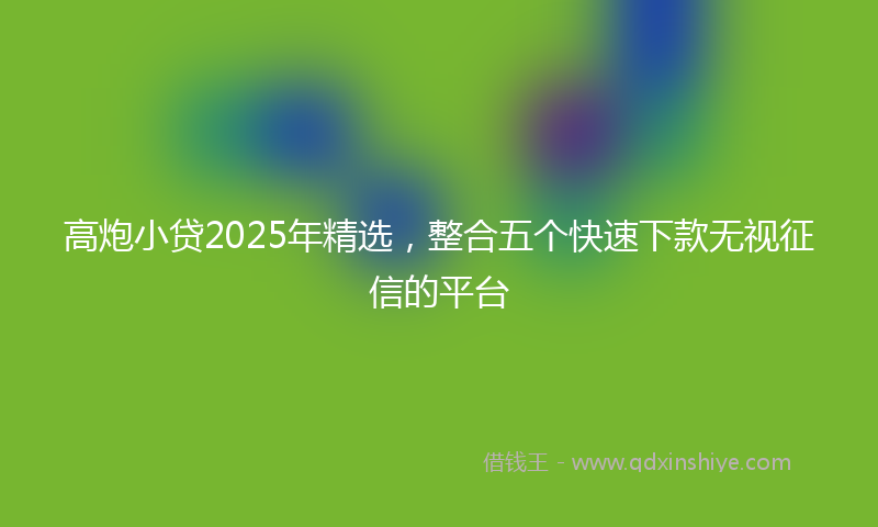 高炮小贷2025年精选，整合五个快速下款无视征信的平台