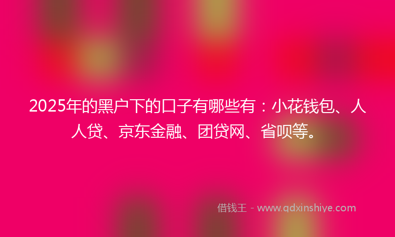 2025年的黑户下的口子有哪些有：小花钱包、人人贷、京东金融、团贷网、省呗等。