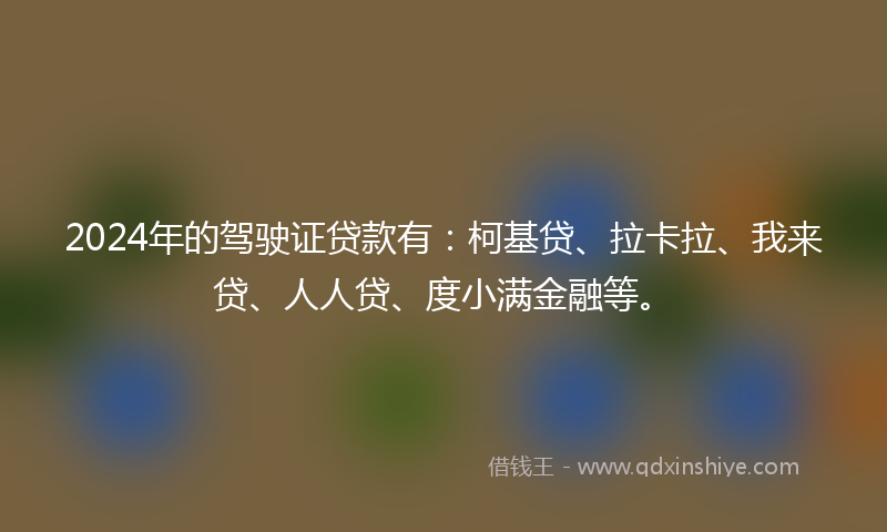 2024年的驾驶证贷款有：柯基贷、拉卡拉、我来贷、人人贷、度小满金融等。