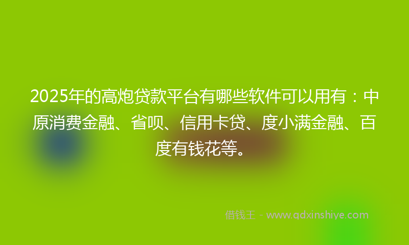 2025年的高炮贷款平台有哪些软件可以用有：中原消费金融、省呗、信用卡贷、度小满金融、百度有钱花等。