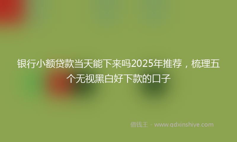 银行小额贷款当天能下来吗2025年推荐，梳理五个无视黑白好下款的口子