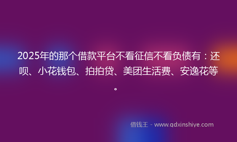 2025年的那个借款平台不看征信不看负债有：还呗、小花钱包、拍拍贷、美团生活费、安逸花等。