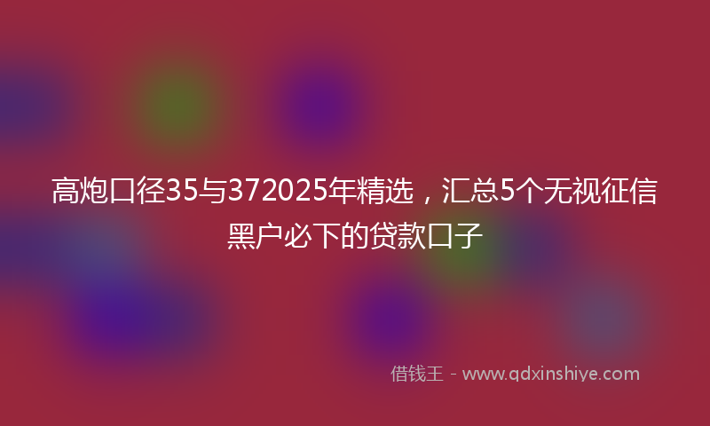 高炮口径35与372025年精选，汇总5个无视征信黑户必下的贷款口子
