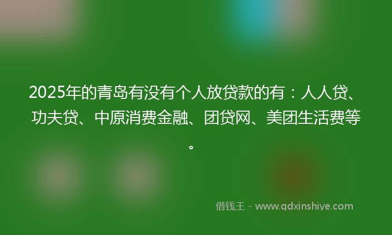2025年的青岛有没有个人放贷款的有：人人贷、功夫贷、中原消费金融、团贷网、美团生活费等。