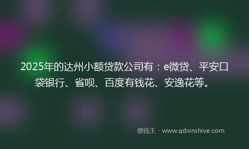2025年的达州小额贷款公司有：e微贷、平安口袋银行、省呗、百度有钱花、安逸花等。