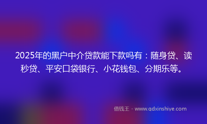 2025年的黑户中介贷款能下款吗有：随身贷、读秒贷、平安口袋银行、小花钱包、分期乐等。