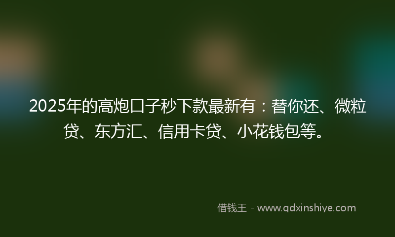 2025年的高炮口子秒下款最新有：替你还、微粒贷、东方汇、信用卡贷、小花钱包等。