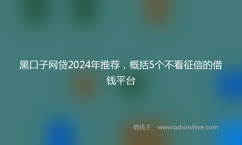 黑口子网贷2024年推荐，概括5个不看征信的借钱平台