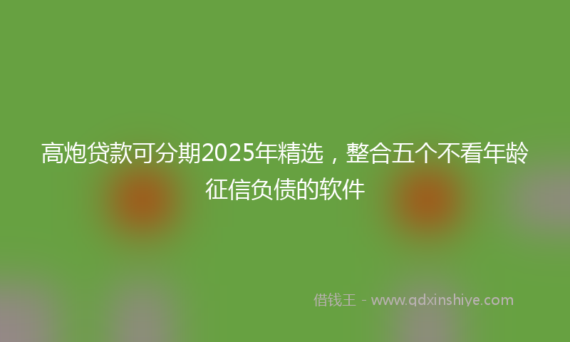 高炮贷款可分期2025年精选，整合五个不看年龄征信负债的软件
