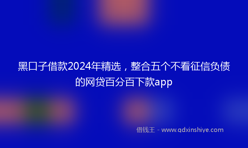 黑口子借款2024年精选，整合五个不看征信负债的网贷百分百下款app