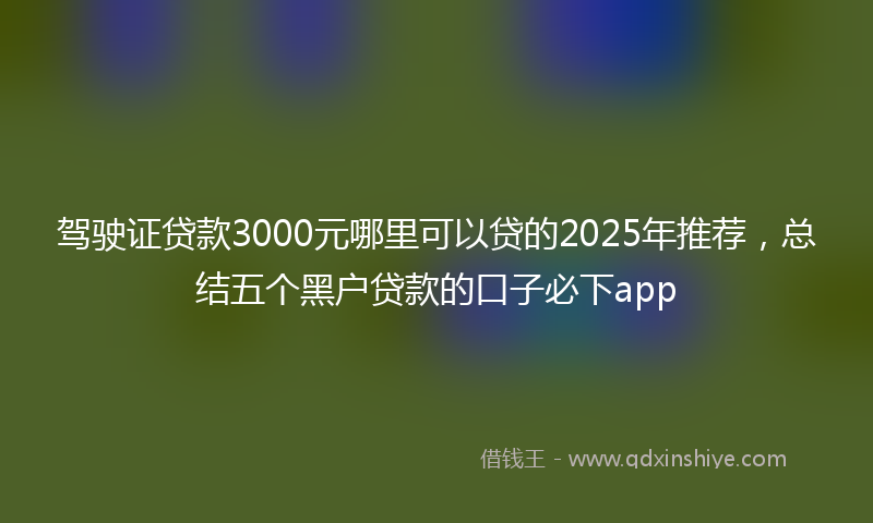 驾驶证贷款3000元哪里可以贷的2025年推荐，总结五个黑户贷款的口子必下app