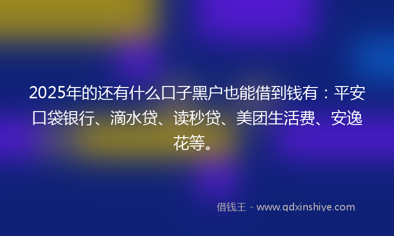 2025年的还有什么口子黑户也能借到钱有：平安口袋银行、滴水贷、读秒贷、美团生活费、安逸花等。