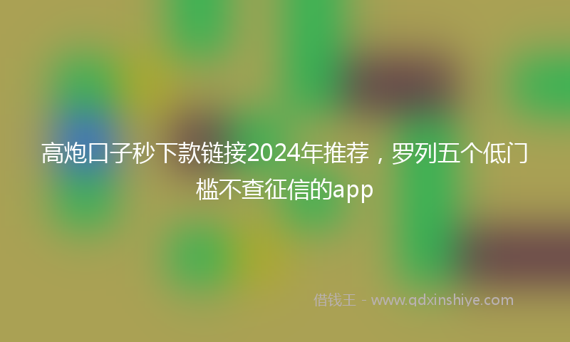 高炮口子秒下款链接2024年推荐，罗列五个低门槛不查征信的app