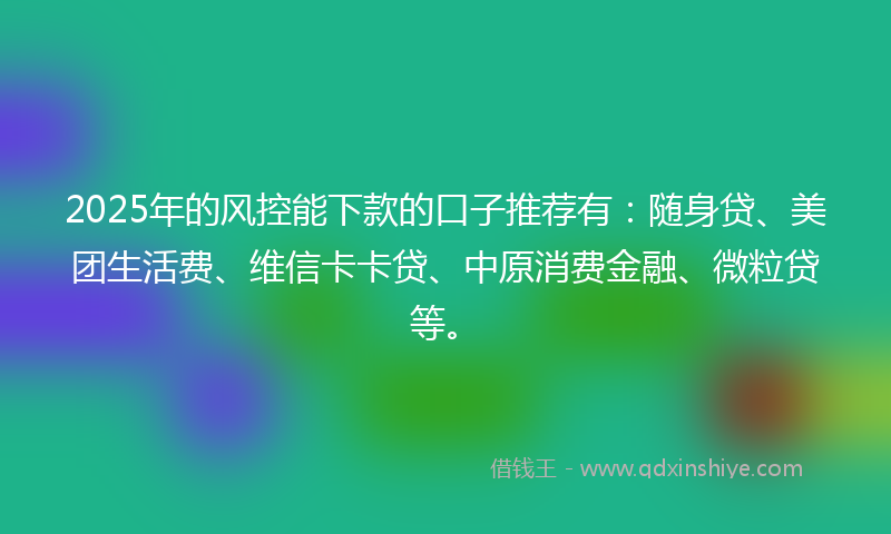 2025年的风控能下款的口子推荐有：随身贷、美团生活费、维信卡卡贷、中原消费金融、微粒贷等。
