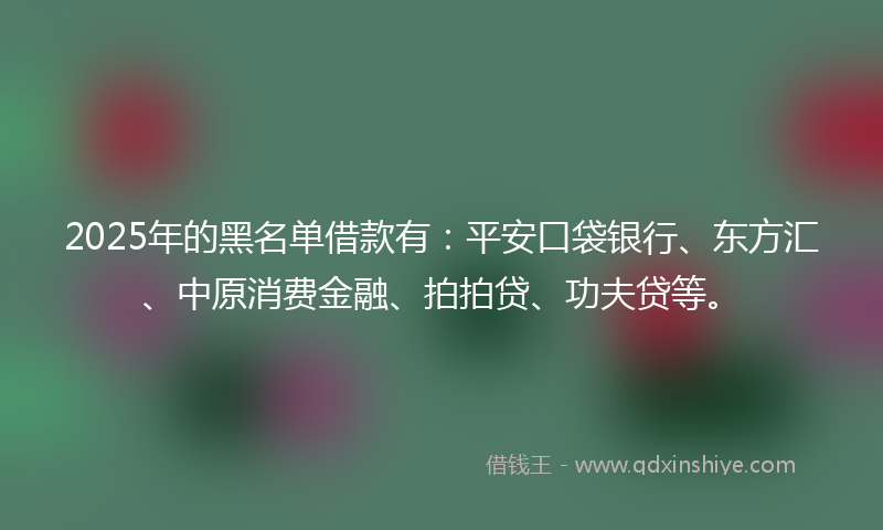 2025年的黑名单借款有：平安口袋银行、东方汇、中原消费金融、拍拍贷、功夫贷等。
