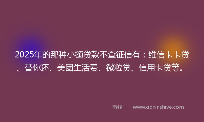 2025年的那种小额贷款不查征信有：维信卡卡贷、替你还、美团生活费、微粒贷、信用卡贷等。