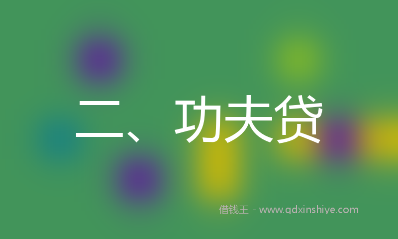 二、功夫贷