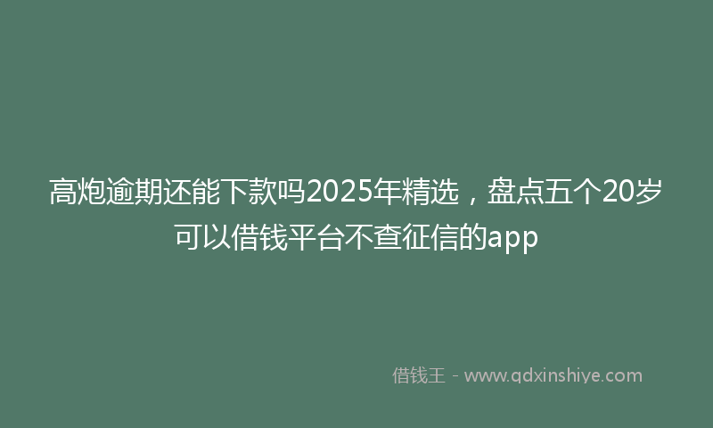 高炮逾期还能下款吗2025年精选，盘点五个20岁可以借钱平台不查征信的app